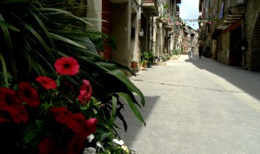 LES FLORS HAN FET FORA ELS COTXES A SALÀS DE PALLARS