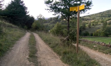 MUNICIPIS DE L’ALT URGELL ESTUDIEN LA REGULACIÓ DE VEHICLES A LES PISTES FORESTALS