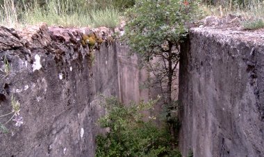 UN CAMP INTERNACIONAL DE TREBALL RECUPERARÀ TRINXERES A MONTELLÀ I MARTINET