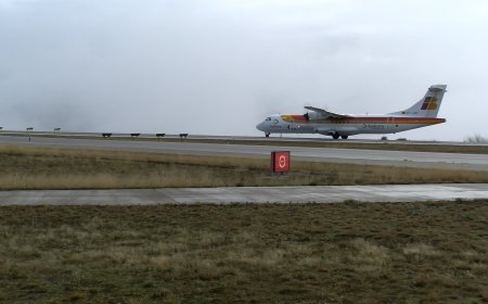 VOLS REGULAR A PALMA I MADRID FINS EL 2026