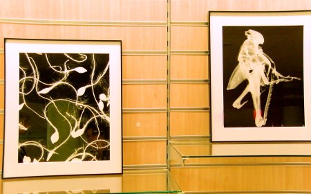 NIKO BLOT INAUGURA A TREMP UNA EXPOSICIÓ DE FOTOGRAFIES SENSE CÀMERA