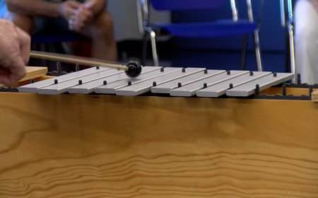 OFERTA PER A TOTES LES EDATS A L’ESCOLA MUNICIPAL DE MÚSICA DE LA SEU D’URGELL