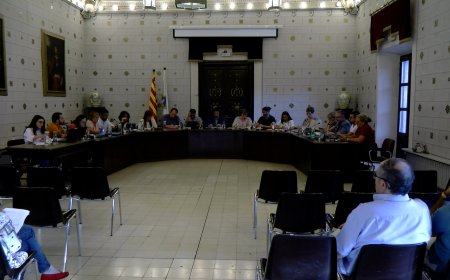 LA SEU D’URGELL DEMANARÀ QUE LA TAXA PER ACCEDIR A ANDORRA NO AFECTI A LA COMARCA