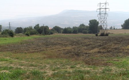 PETIT FOC SENSE DANYS MATERIALS NI PERSONALS EN UN CAMP PROP DE TREMP