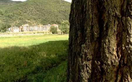 ACORD PER RECORDAR LA IMPORTÀNCIA DEL NOU HOSPITAL COMARCAL A LA GENERALITAT