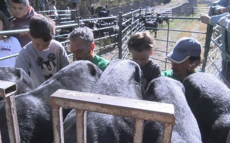 CAMINS DE VIDA TORNA A RESSEGUIR EL CAMÍ RAMADER DE MARINA I FA PARADA A CERDANYA