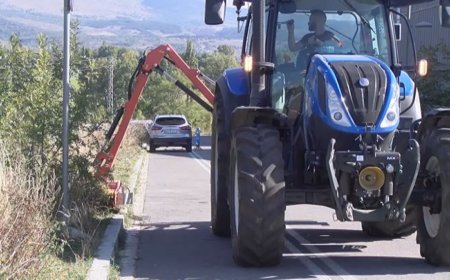 PUIGCERDÀ COMENÇA A NETEJAR I DESBROSSAR CAMINS I VORERES