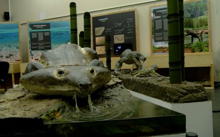 UNA EXPOSICIÓ A LA DINOSFERA DESCOBREIX L’EXTINCIÓ MÉS GRAN DE LA TERRA