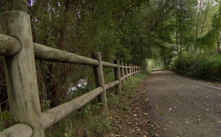 EN MARXA LA LICITACIÓ PER CONSTRUIR UNA VIA VERDA ENTRE SORT I MONTARDIT DE BAIX