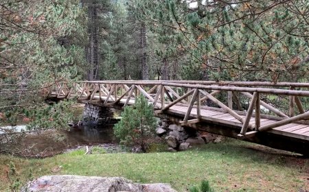 1,3 M€ AL DESENVOLUPAMENT SOSTENIBLE DELS POBLES AL VOLTANT D’AIGÜESTORTES I SANT MAURICI