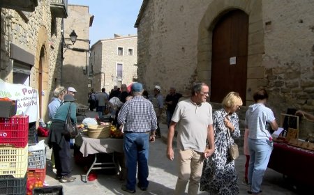 LLIMIANA ES PREPARA PER LA 15a FIRA DEL MOSTILLO I LA 11a TROBADA DE FORJADORS