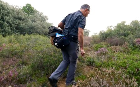 ARRIBA LA 23a EDICIÓ DE LES JORNADES MICOLÒGIQUES EN UN ANY BO PER A TROBAR BOLETS