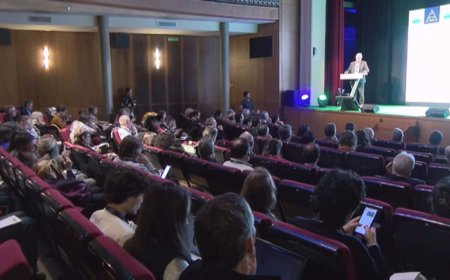 LA LLEI D'ALTA MUNTANYA S'APROVARÀ EL PRIMER TRIMESTRE DEL 2025