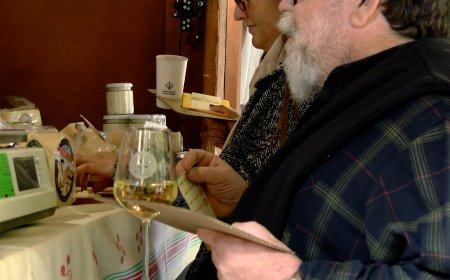 MÉS VISITANTS EN LA NOVA UBICACIÓ DE LA FIRA DE SANT ERMENGOL