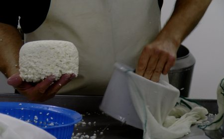 FORMACIÓ PER ASSEGURAR EL FUTUR DEL SECTOR FORMATGER