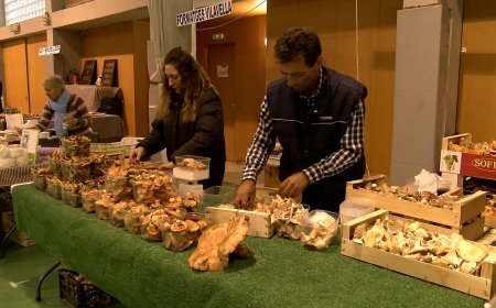 MALGRAT LA PLUJA, EL BOLETUS D’ISONA I CONCA DELLÀ VA PODER REALITZAR TOTS ELS ACTES PROGRAMATS