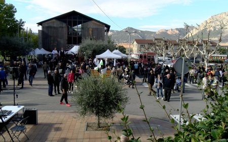 OLIANA CELEBRA AQUEST 01 DE NOVEMBRE LA FIRA DE TOTS SANTS