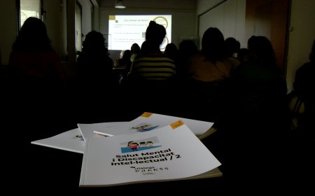 JORNADA DE SALUT MENTAL I DISCAPACITAT INTEL·LECTUAL A LA SEU D’URGELL