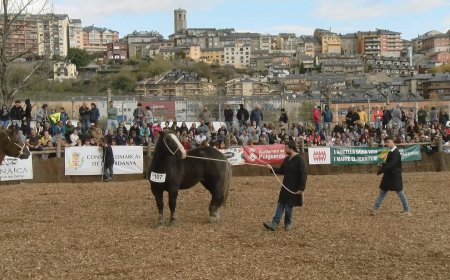 LA FIRA DEL CAVALL DE PUIGCERDÀ APLEGA UNS 20.000 VISITANTS