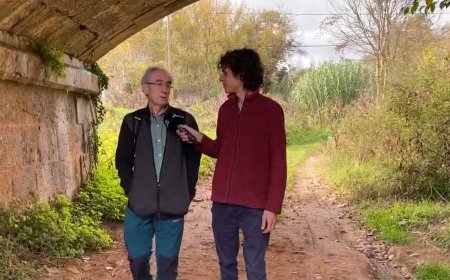 ‘Els crims de la mel’, l’última novel·la de Pep Coll: Connecta Lleida Pirineus 15-11-2024