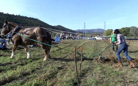 ENTRE 4 I 5 MIL PERSONES PASSEN AQUEST CAP DE SETMANA PER LA FIRA DE SALÀS DE PALLARS