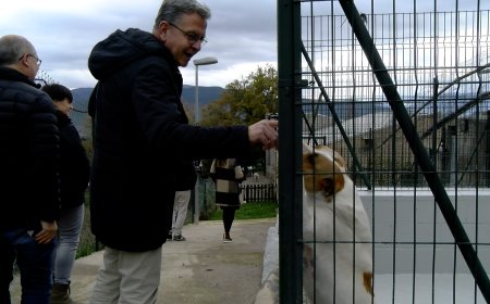 LA DIPUTACIÓ DE LLEIDA AUGMENTA LA DOTACIÓ DEL PLA DE SALUT