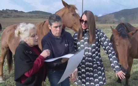 DOTZE DONES CERDANES IMPULSEN UN CALENDARI SOLIDARI PER AJUDAR ELS CAVALLS ABANDONATS