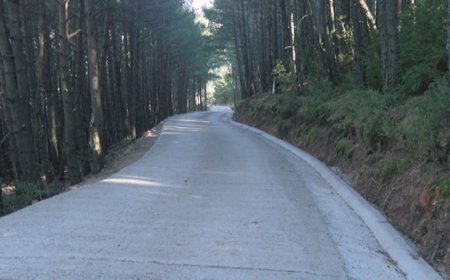 EL CONSELL COMARCAL MILLORA LA XARXA DE CAMINS VEÏNALS I RURALS