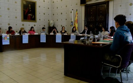 ELS CONSELLS MUNICIPALS D’INFANTS I ADOLESCENTS COMENCEN A TREBALLAR