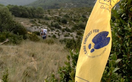 MÉS DE 2.700 PERSONES INSCRITES EN LA QUINZENA EDICIÓ DEL CIRCUIT FER