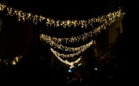 TRET DE SORTIDA AL MÓN MÀGIC DE LES MUNTANYES