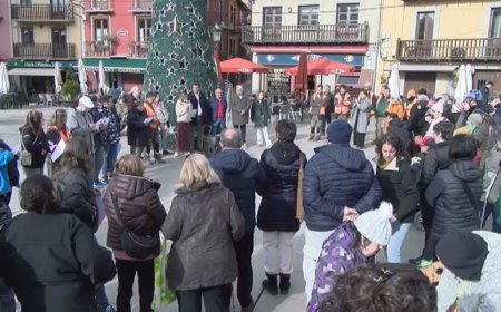 DIVERSES ENTITATS CERDANES CELEBREN EL DIA INTERNACIONAL DE LES PERSONES AMB DISCAPACITAT