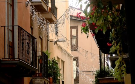 6D, JORNADA REIVINDICATIVA SENSE TALLS DE CARRETERA