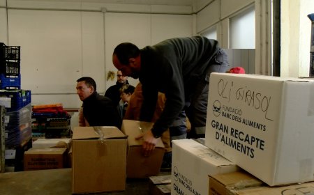 EL TIÓ SOLIDARI DE L’ESCOLA ALBERT VIVES RECULL 560 KG D’ALIMENTS