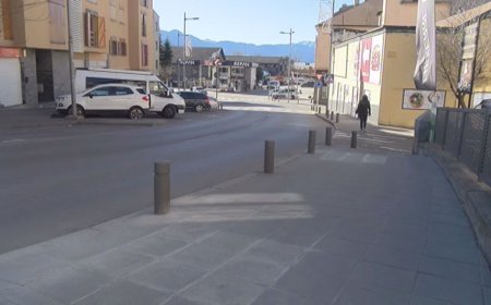 MILLORES A LES VORERES DE L'AVINGUDA CATALUNYA