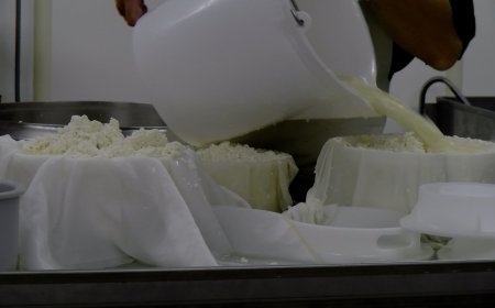 FORMACIÓ CONTÍNUA PEL SECTOR FORMATGER CATALÀ A L’EA DEL PIRINEU