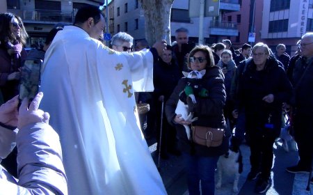 TRACTORS I ANIMALS DE COMPANYIA, PROTAGONISTES DELS TRES TOMBS A TREMP