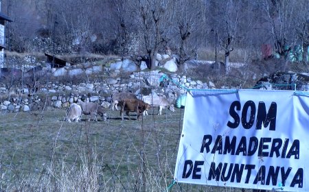 LA VALL DE BOÍ TINDRÀ UN BUS ELÈCTRIC PER ARRIBAR AL PARC NACIONAL D’AIGÜESTORTES