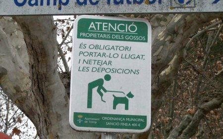 TREMP ENGEGA UNA CAMPANYA DE SENSIBILITZACIÓ SOBRE LA TINENÇA D’ANIMALS DE COMPANYIA