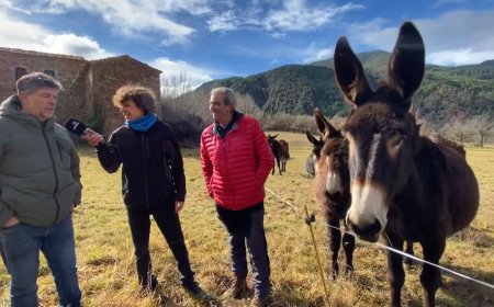 Campanya per fer perviure el ruc català: Connecta Lleida Pirineus 28-01-2025