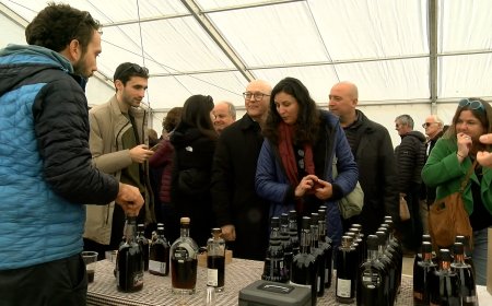 LA FIRA D’OLI DEL PIRINEU ARRIBA A LA 2a EDICIÓ AQUEST CAP DE SETMANA