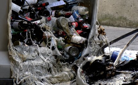 DETINGUDES DUES PERSONES PER LA CREMA DE CONTENIDORS A LA SEU D’URGELL