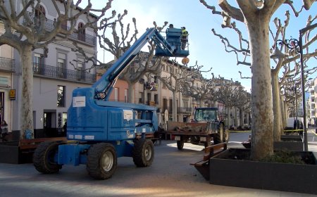 ES PODEN ELS PLATANERS DEL PASSEIG TREMP PER SEGURETAT