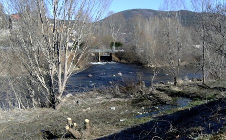 MANTENIMENT A LA LLERA DEL RIU SEGRE PER COMBINAR SOSTENIBILITAT I SEGURETAT