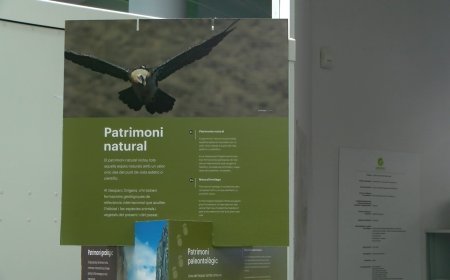 EN MARXA EL NOU INSTAGRAM DE TURISME @VISITJUSSÀ