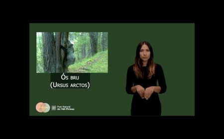 NOUS MOTS SOBRE FLORA, FAUNA I HÀBITATS EN LA LLENGUA DE SIGNES CATALANA