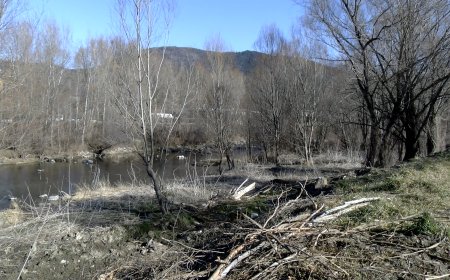 MANIFEST EN CONTRA L’ACTUACIÓ AL BOSC DE RIBERA DEL RIU SEGRE