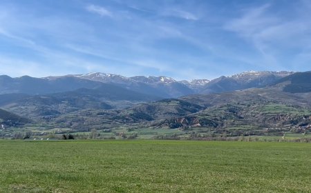 PRESENTEN SOLUCIONS PER AL FUTUR ECONÒMIC, SOCIAL I AMBIENTAL DE CERDANYA