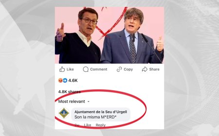 JUNTS EXIGEIX RESPONSABILITATS PER UN INSULT DES DEL FACEBOOK DE L’AJUNTAMENT DE LA SEU