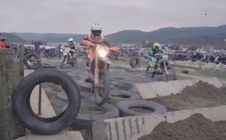 Seguint les roderes de la Bassella Race: Connecta Lleida Pirineus 18-02-2025